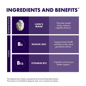 Host Defense BrainPower Stack Powder 100g lifestyle scene