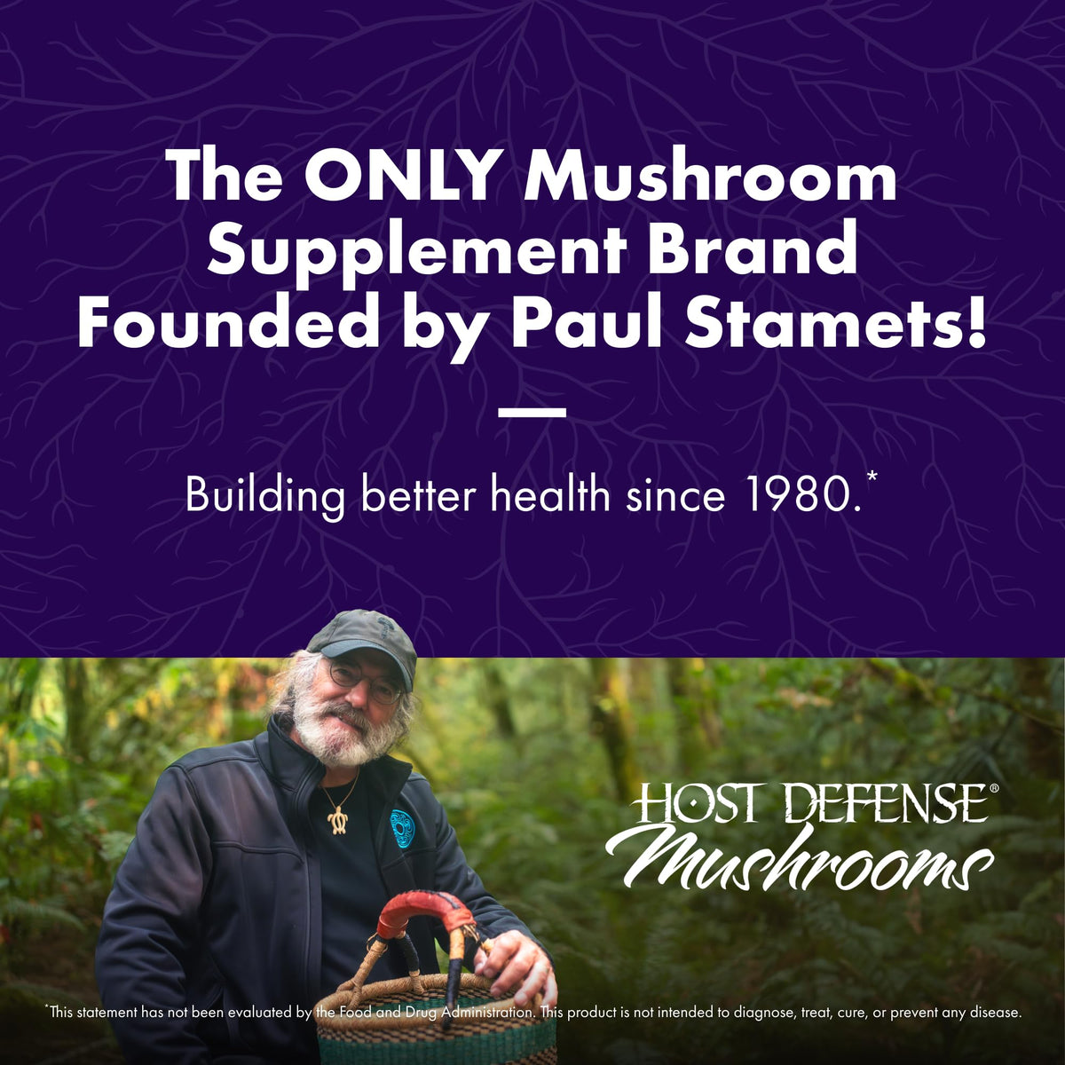 Host Defense BrainPower Stack Powder 100g powder close-up