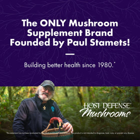 Host Defense BrainPower Stack Powder 100g powder close-up