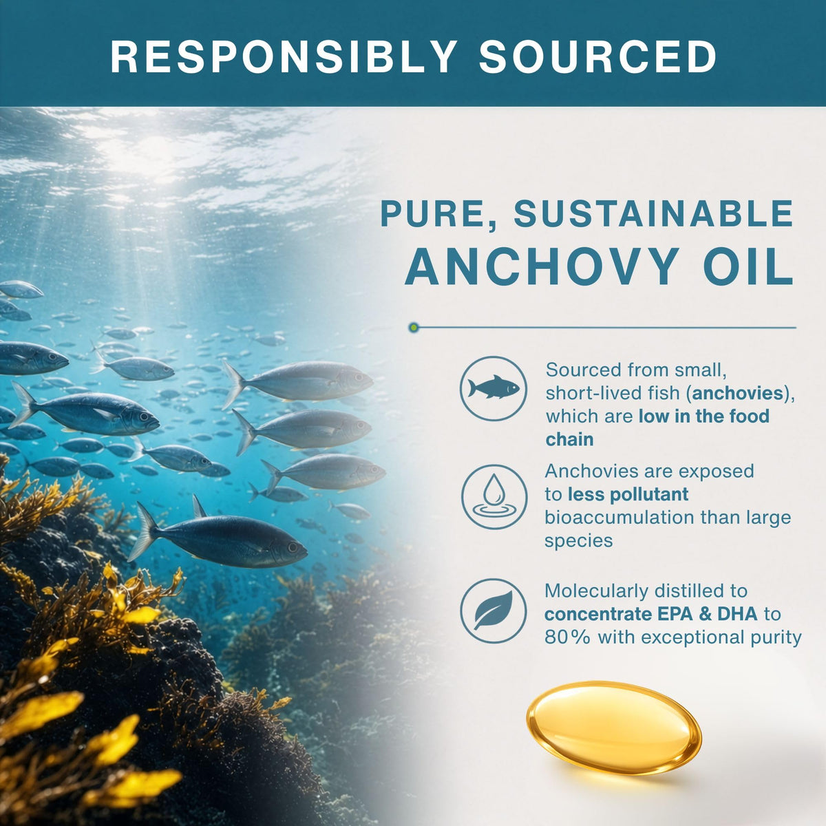 Igennus Pharmepa rTG Omega 3 ingredients list