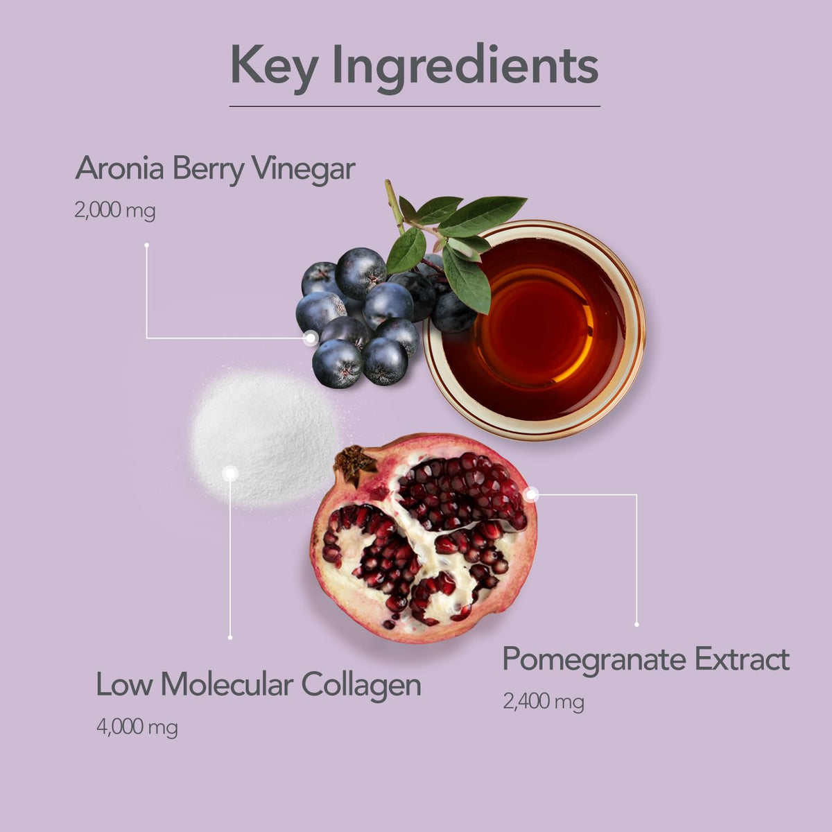 Individual 20g pouch of 107 Aronia Vinegar Collagen Jelly