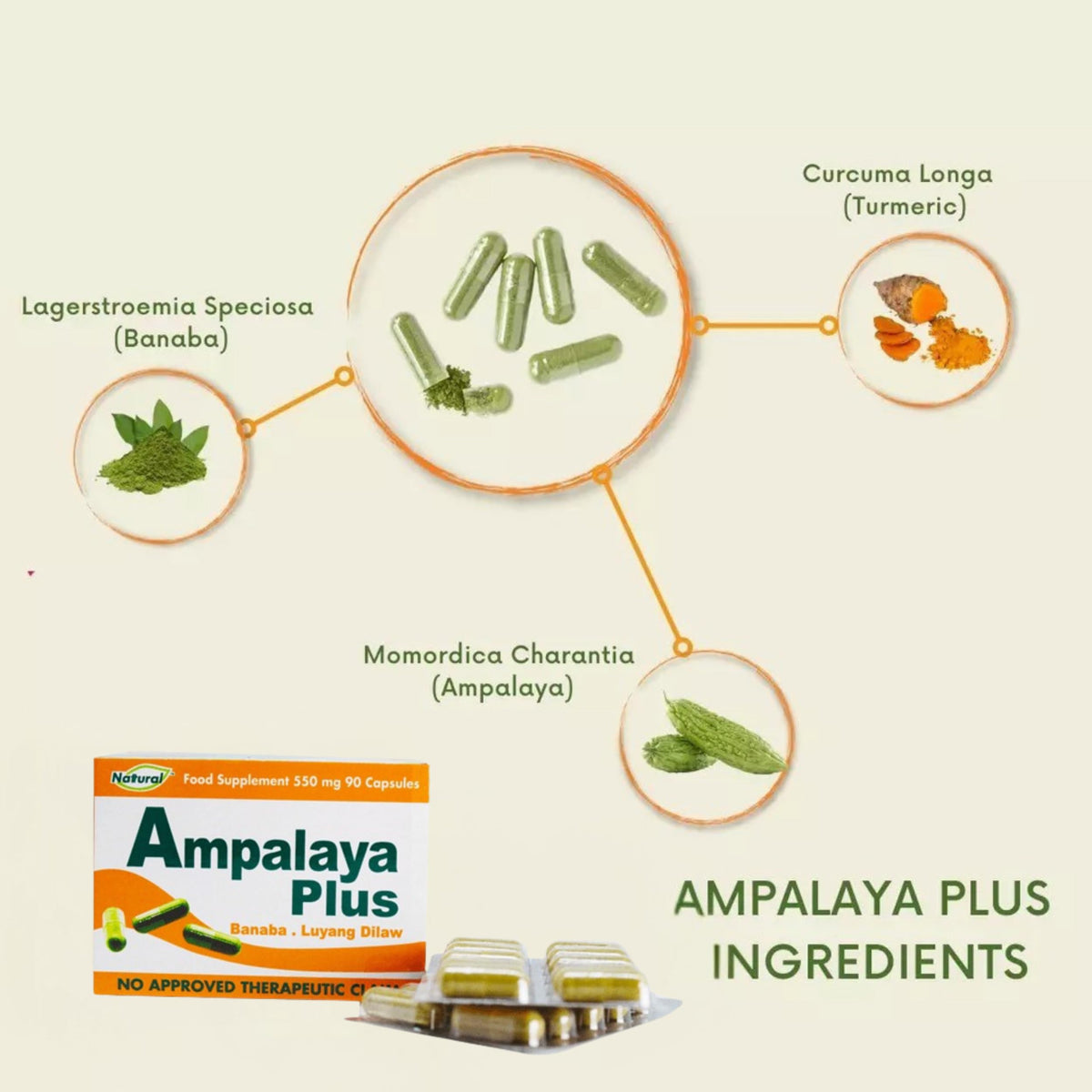 Ingredients of Ampalaya Plus 550mg capsules