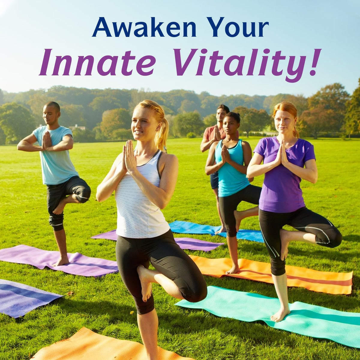 Innate Vitality Grape Seed Extract Capsules packaging details