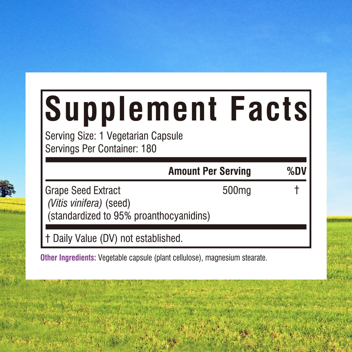 Innate Vitality Grape Seed Extract Capsules side view, 180 count