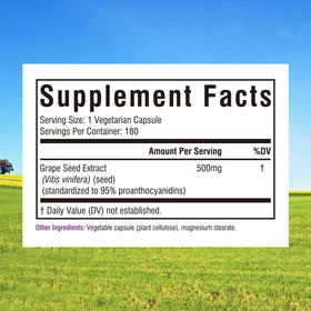 Innate Vitality Grape Seed Extract Capsules side view, 180 count
