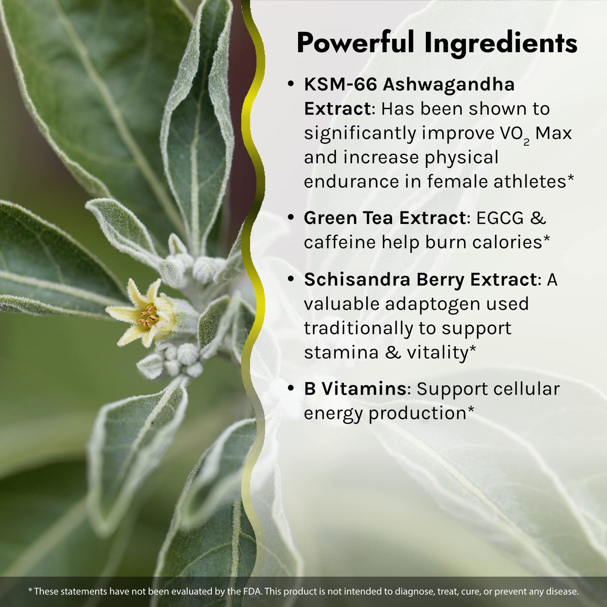 Irwin Naturals VO₂ Max Performance Fat Burner ingredients list