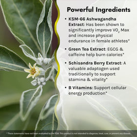 Irwin Naturals VO₂ Max Performance Fat Burner ingredients list