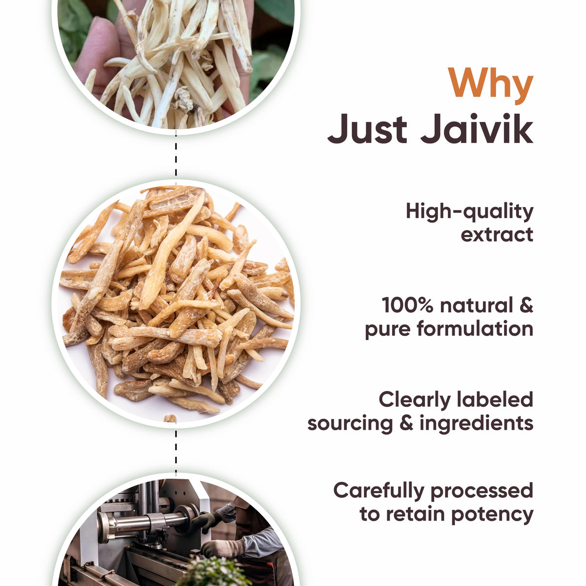 Just Jaivik Organic Safed Musli Powder displayed on a wooden table