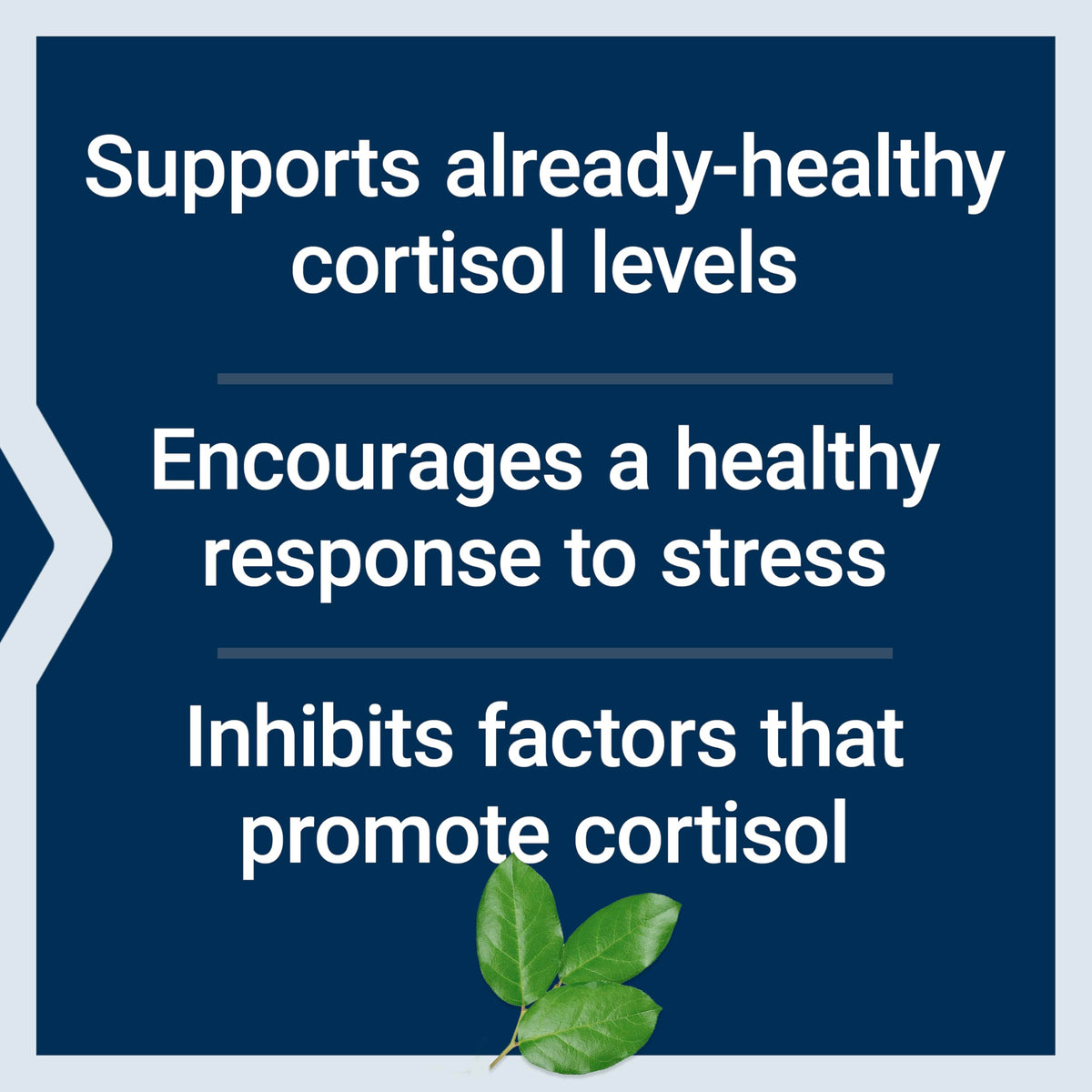 Life Extension Cortisol-Stress Balance packaging with ingredients