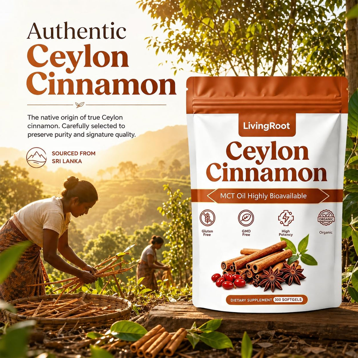 LivingRoot Ceylon Cinnamon Softgels side view