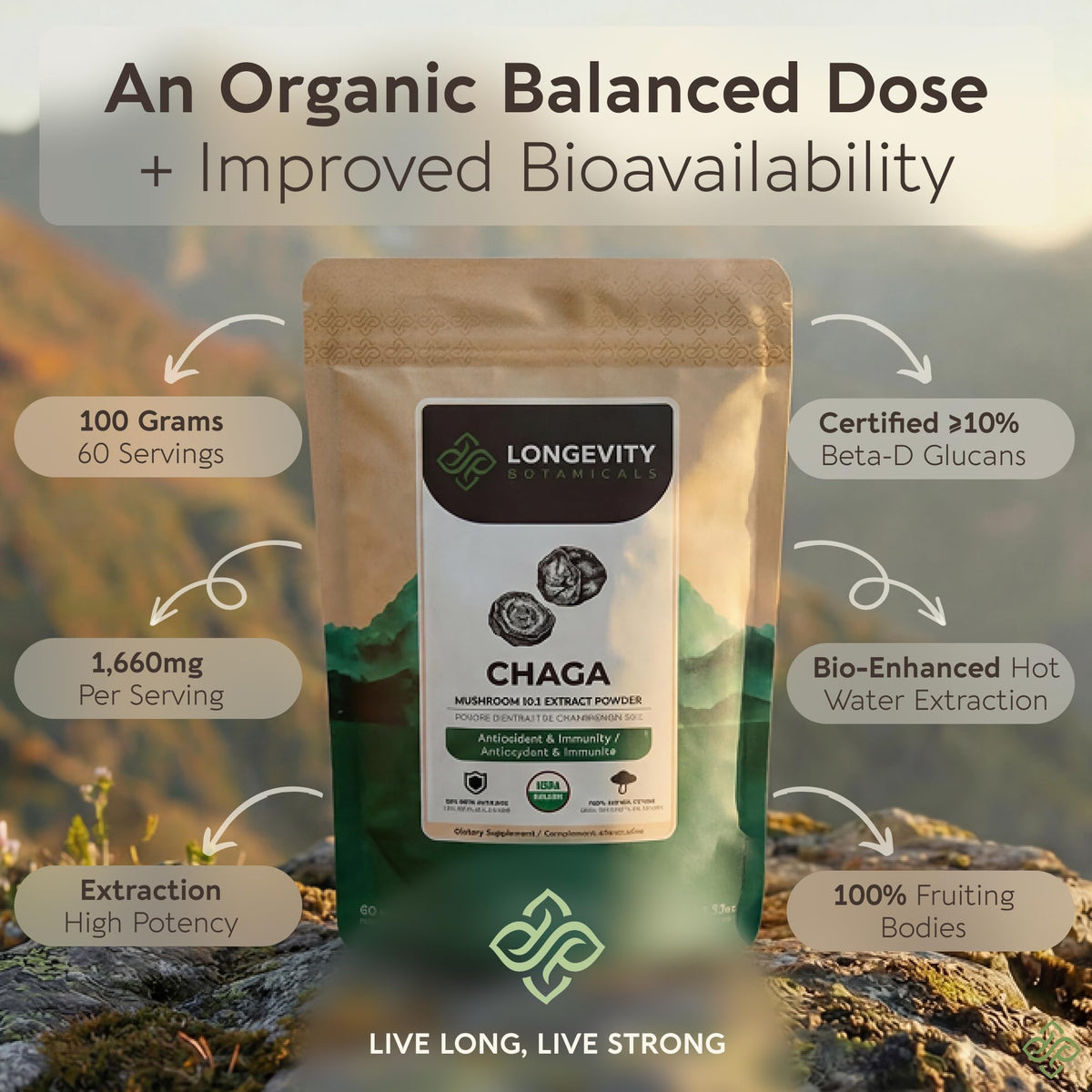 Longevity Botanicals Organic Chaga Mushroom Powder close-up of powder