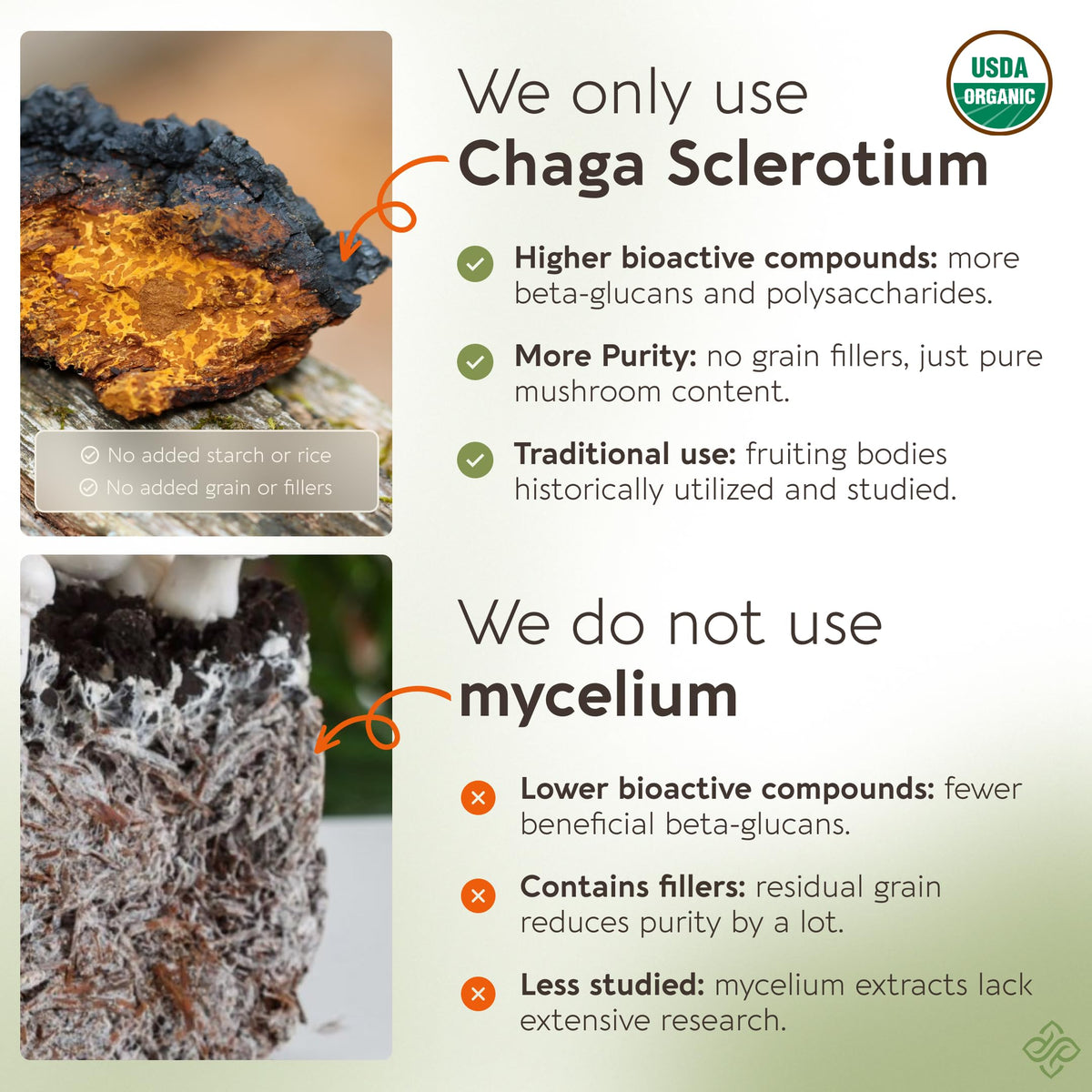 Longevity Botanicals Organic Chaga Mushroom Powder in a smoothie