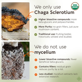 Longevity Botanicals Organic Chaga Mushroom Powder in a smoothie