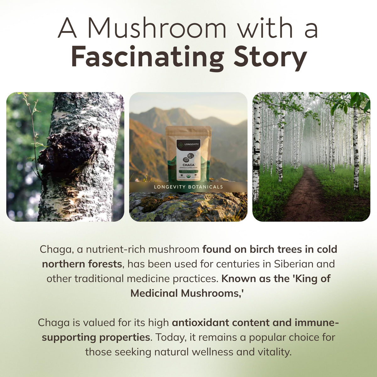 Longevity Botanicals Organic Chaga Mushroom Powder nutrition facts