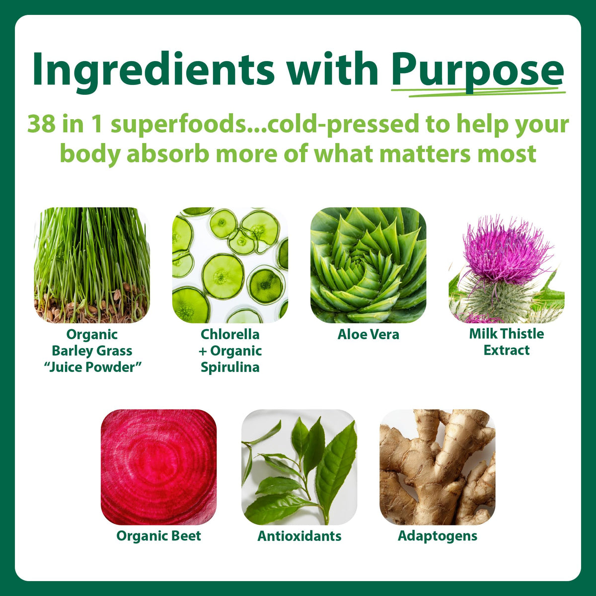 MacroLife Naturals Macro Greens Powder individual packet front view