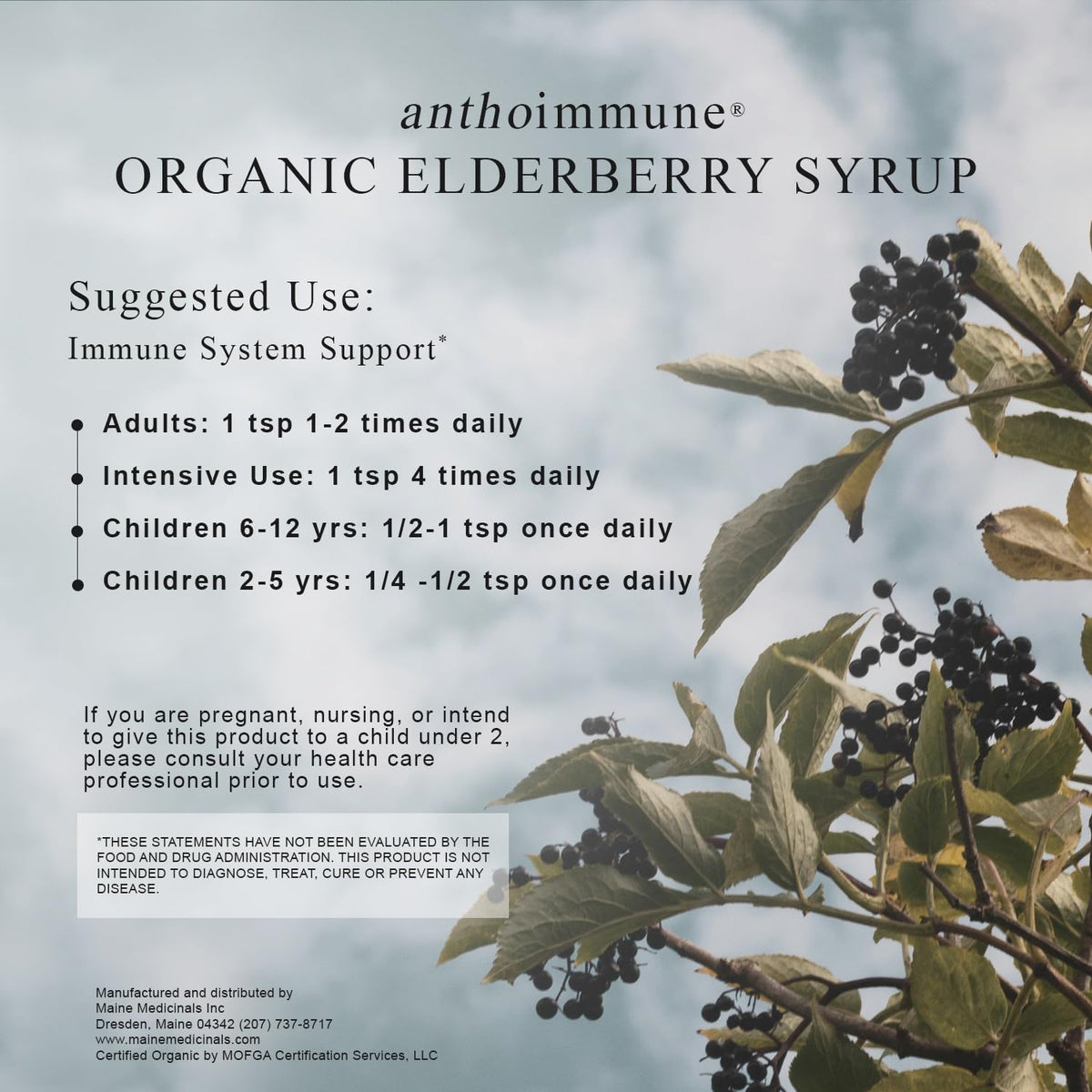 Maine Medicinals Organic Elderberry Syrup ingredients list