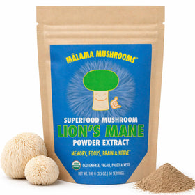 MALAMA MUSHROOMS Organic Lion's Mane Mushroom Extract Powder front view
