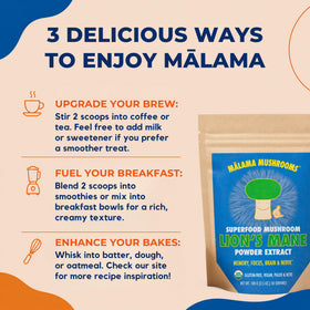 MALAMA MUSHROOMS Organic Lion's Mane Mushroom Extract Powder in a smoothie