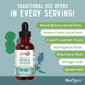 MARYRUTH'S Nootropic Focus Supplement packaging details
