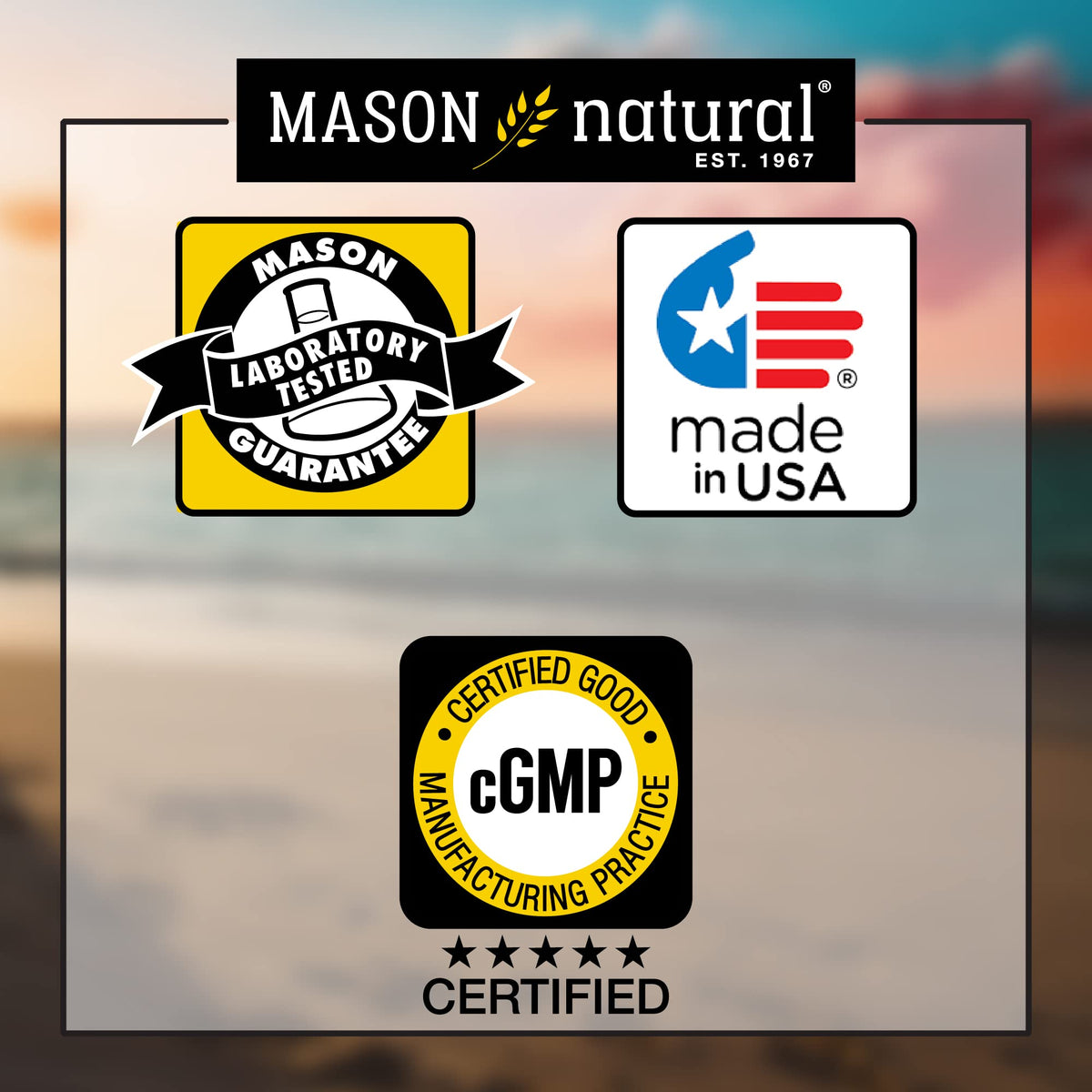 MASON NATURAL Vein Erect L-Arginine & Maca ingredients list on back of packaging