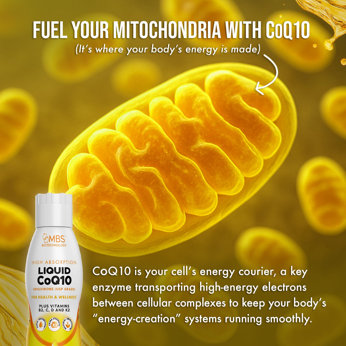 MBS Biotechnology Liquid CoQ10 120mg ingredients list