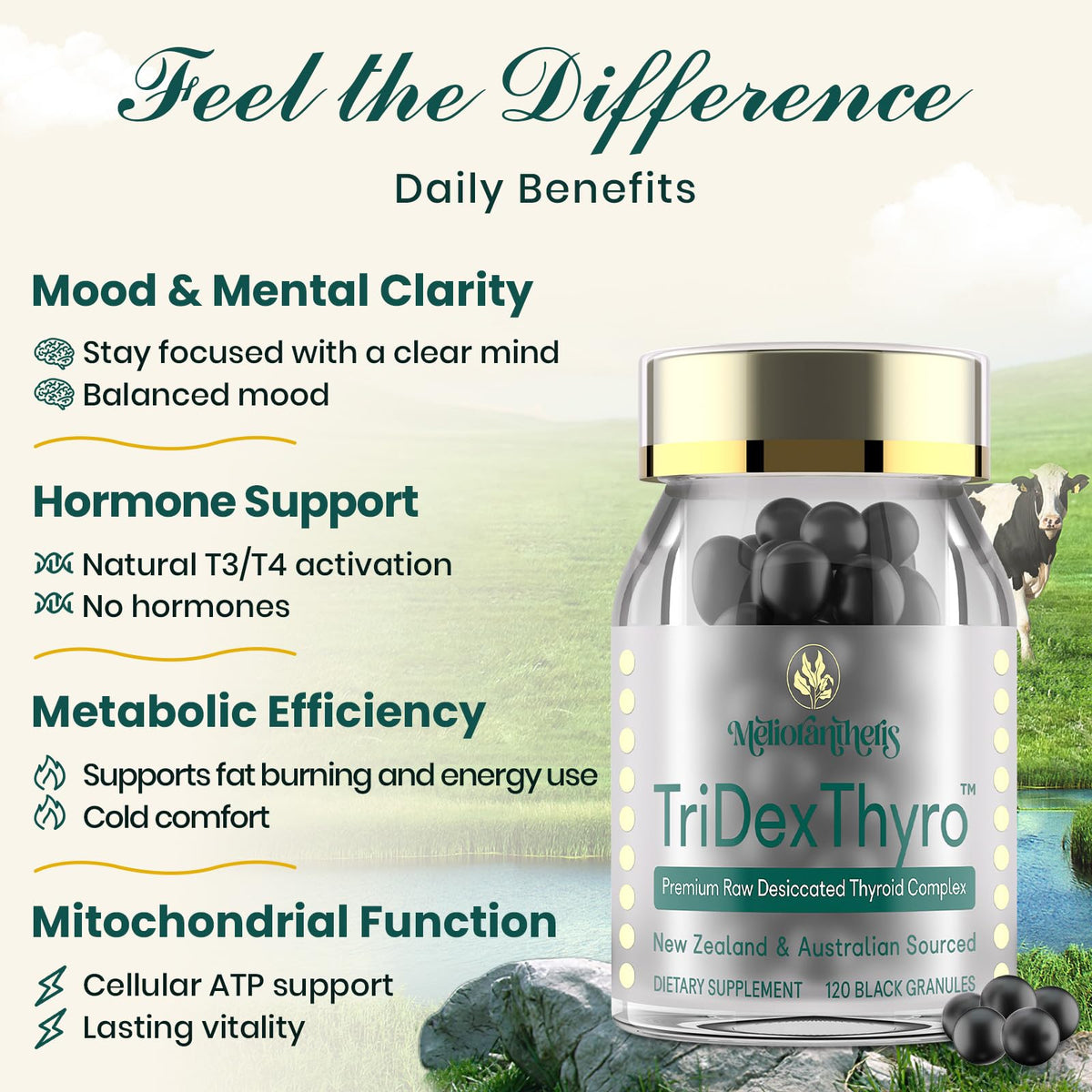 Meliorantheris TriDexThyro™ capsules close-up