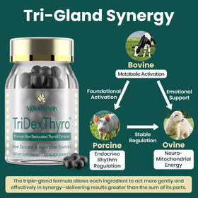 Meliorantheris TriDexThyro™ nutritional information