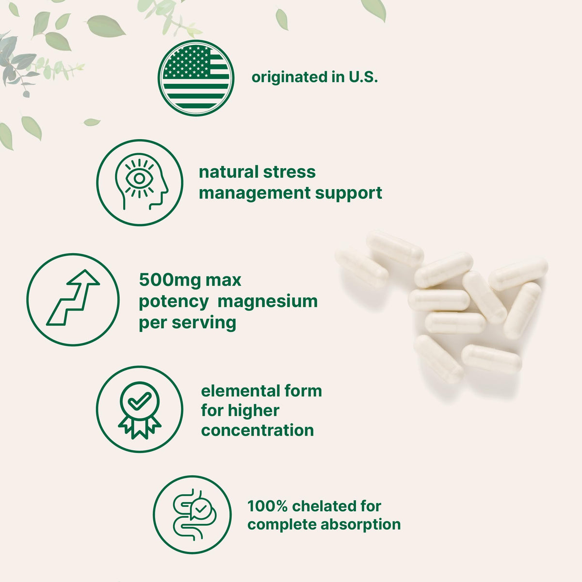 Micro Ingredients Magnesium Glycinate 500mg capsules packaging