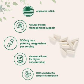 Micro Ingredients Magnesium Glycinate 500mg capsules packaging