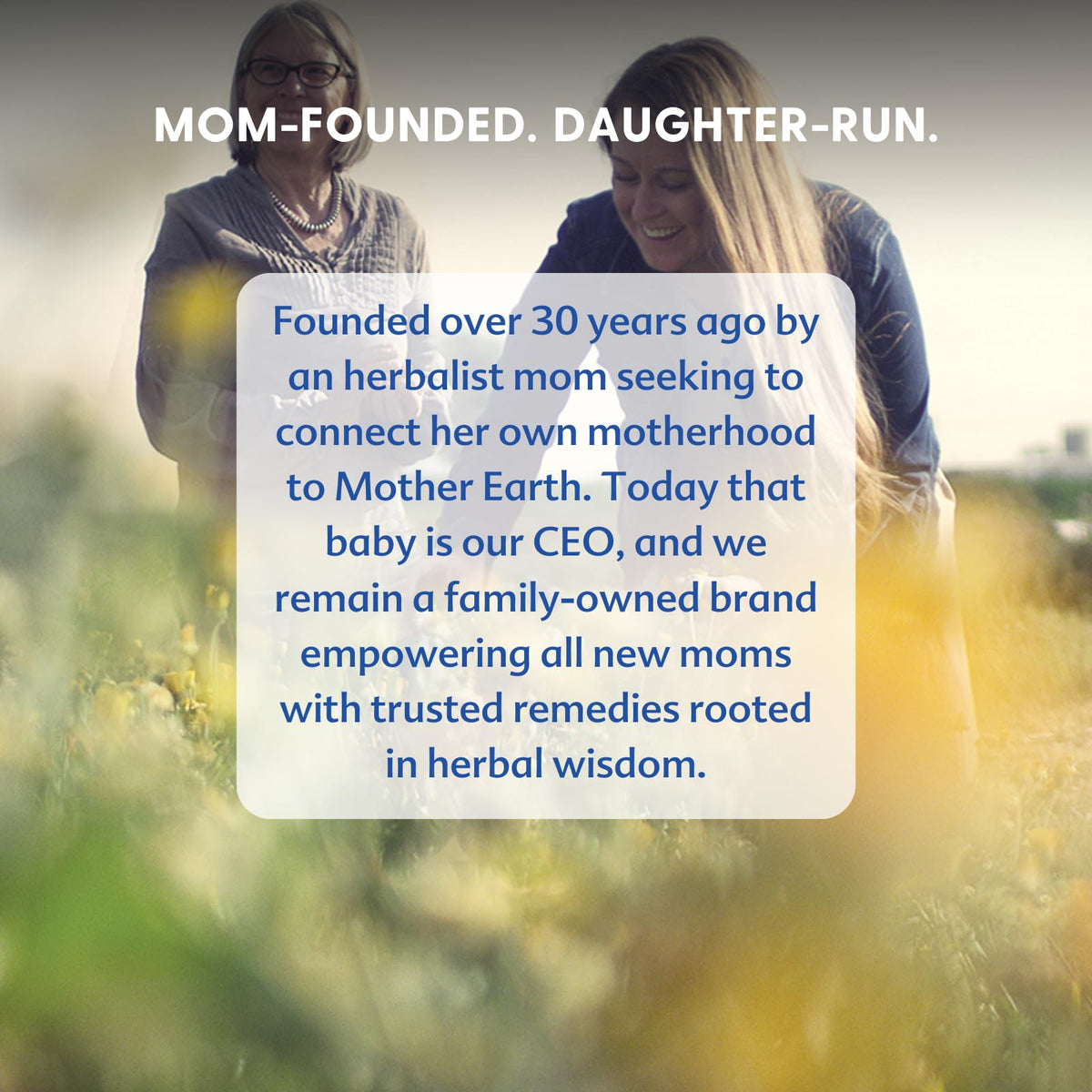 Motherlove Goat’s Rue liquid capsules with herbal background