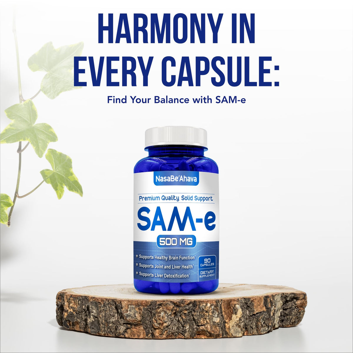 NasaBeahava SAM-E Supplement 500mg with other supplements