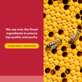 Natural Factors Bee Propolis Extract 500 mg ingredients list