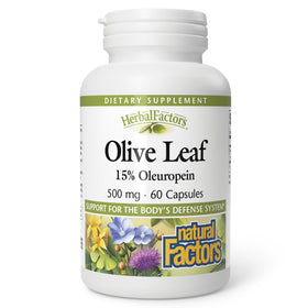 Natural Factors Olive Leaf 500 mg supplement front view with 60 capsules