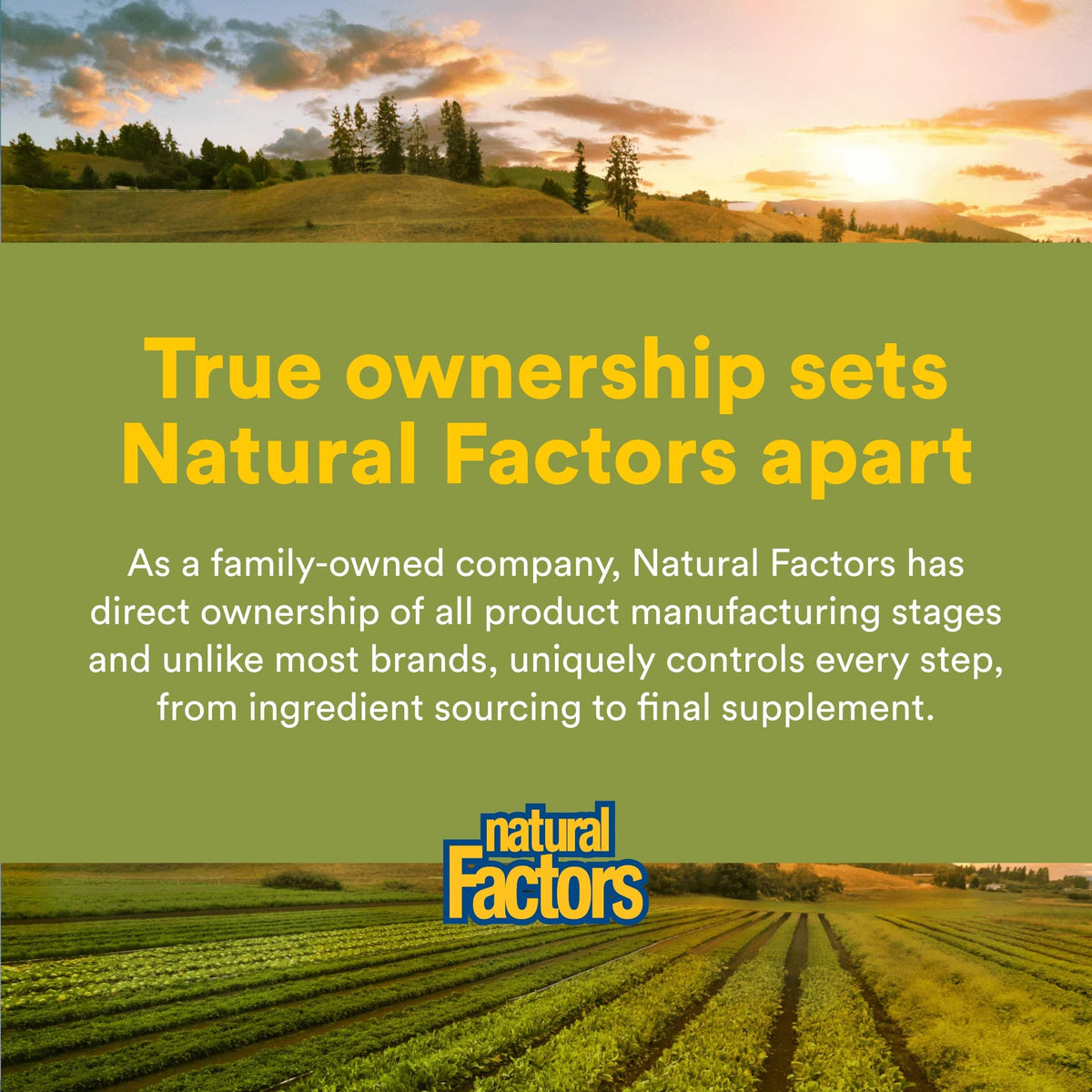 Natural Factors Olive Leaf 500 mg supplement with a measuring spoon