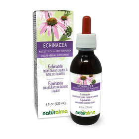 Naturalma Echinacea Alcohol-Free Tincture 4 fl oz front view