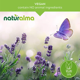Naturalma Ribwort Plantain Leaf Tincture 4 fl oz dropper