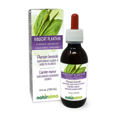 Naturalma Ribwort Plantain Leaf Tincture 4 fl oz front view