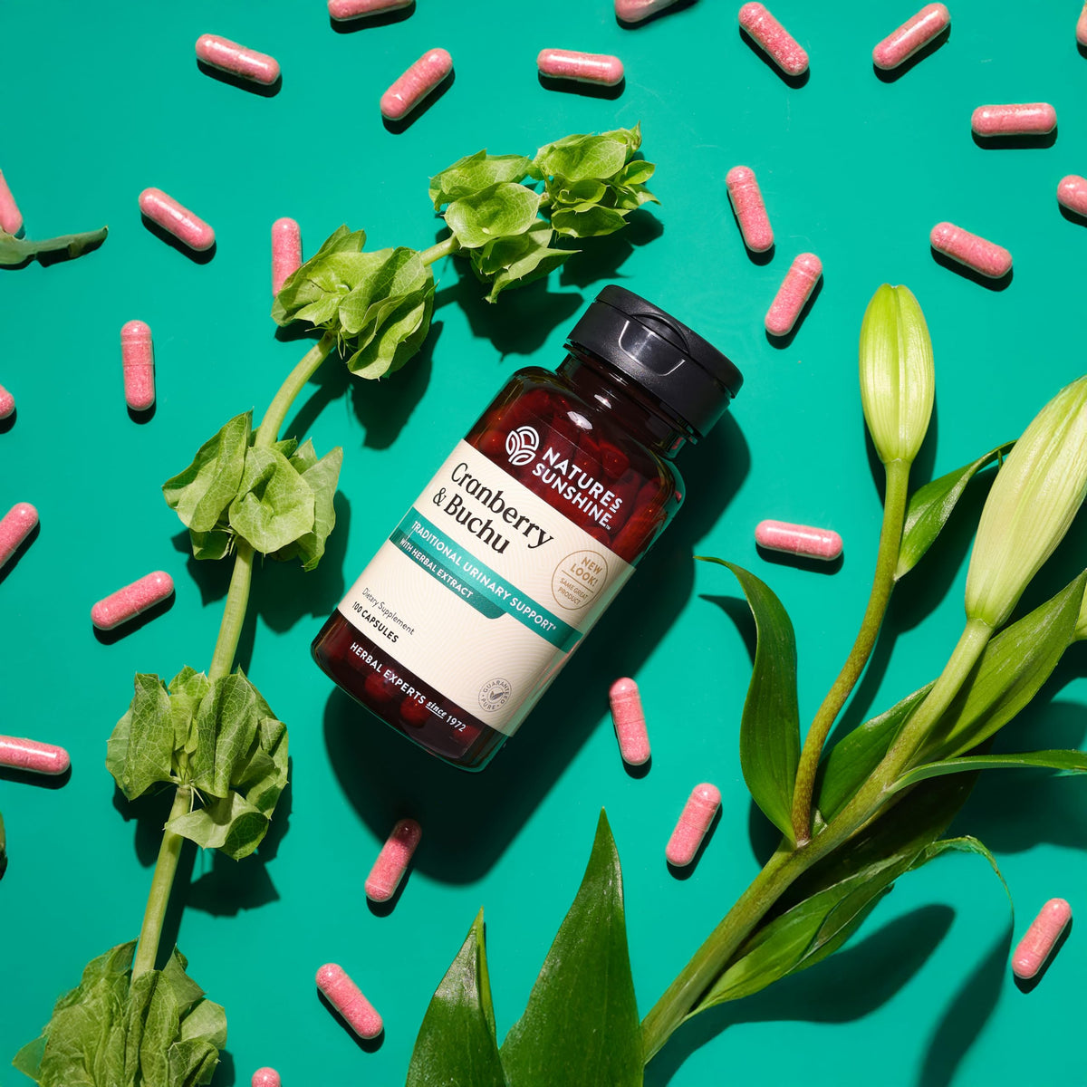 Nature's Sunshine Cranberry and Buchu Concentrate 100 Capsules on a wooden table