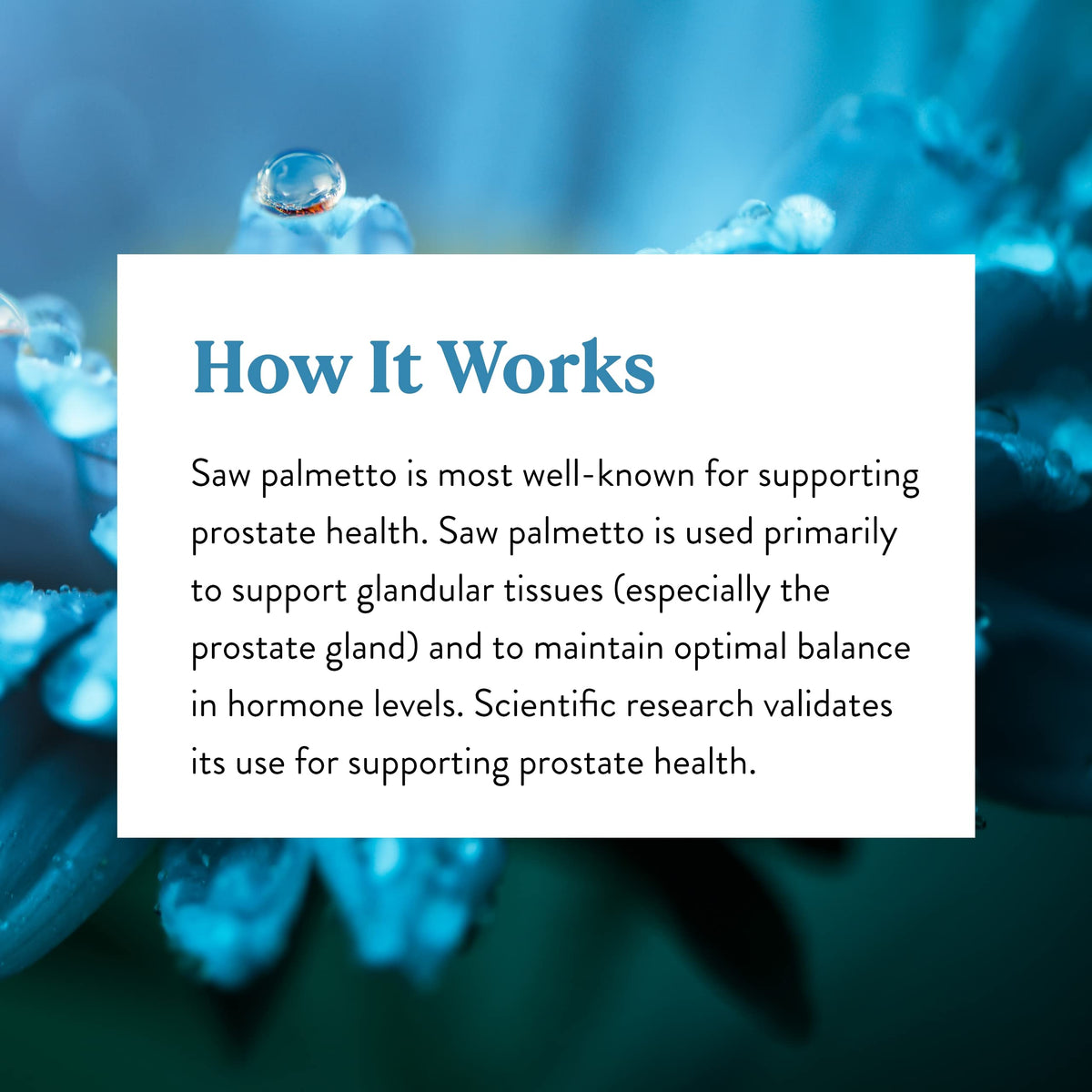 Nature's Sunshine Saw Palmetto capsules in a lifestyle setting