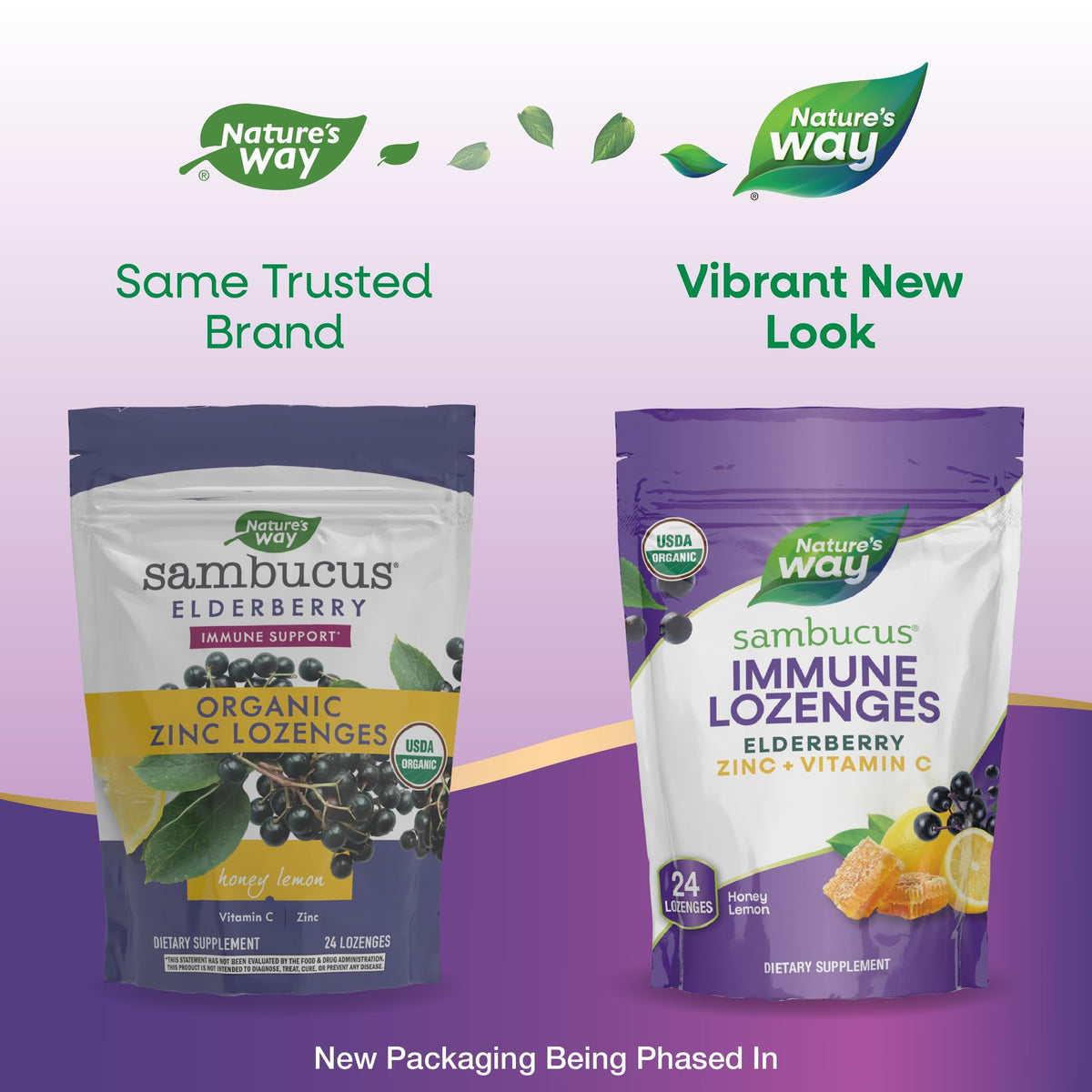 Nature's Way Sambucus Zinc Lozenges honey lemon flavour close-up
