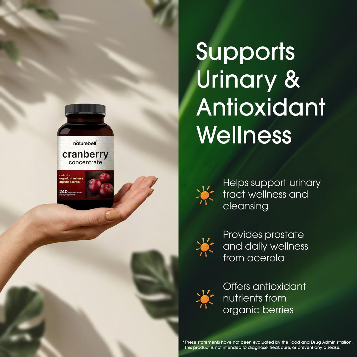NatureBell Cranberry Concentrate 240 Capsules with organic ingredients