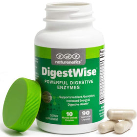 Naturenetics Vegan daily Enzymes 90 Capsules front view