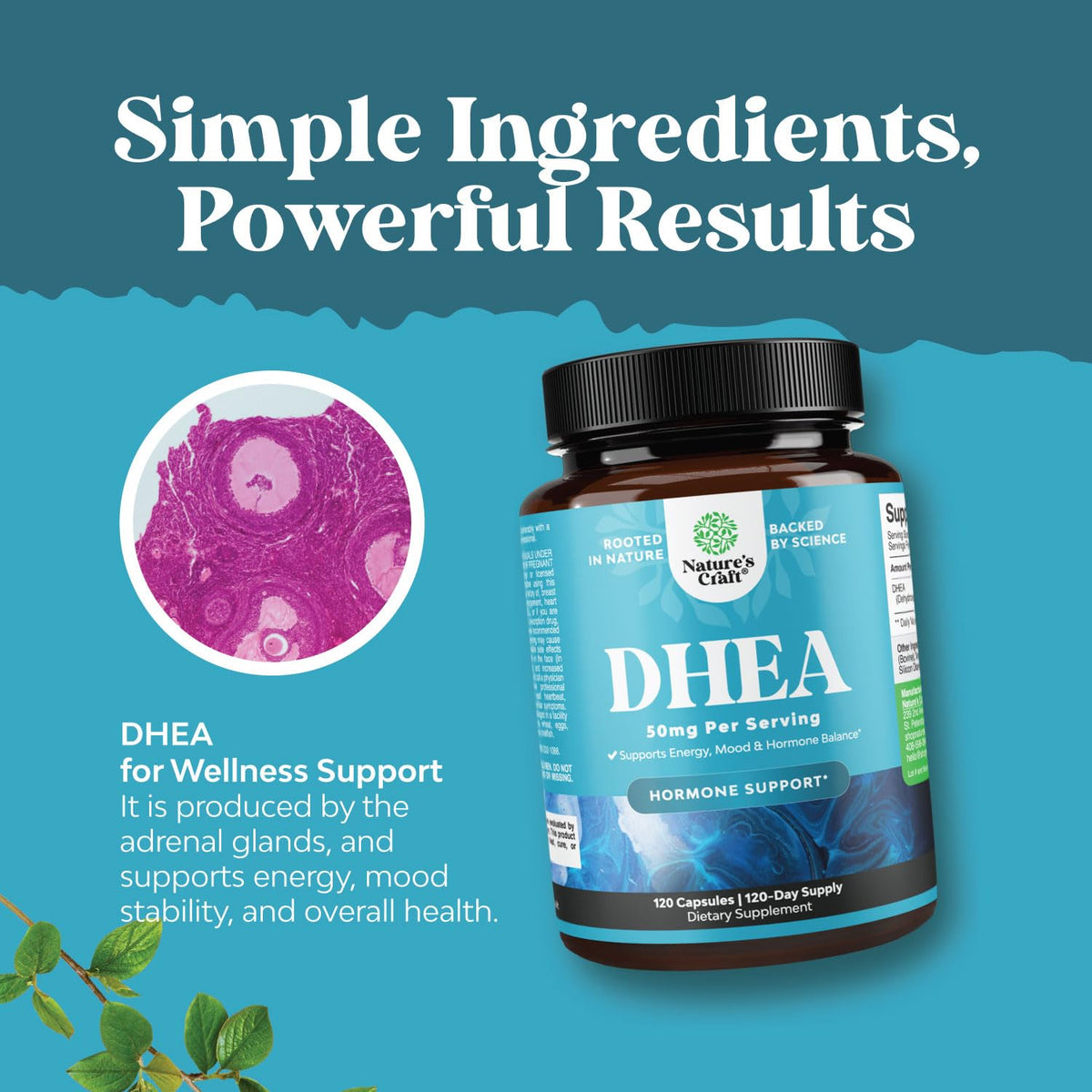 Natures Craft DHEA Supplement 50mg capsules close-up