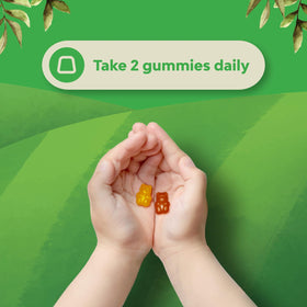 Natures Craft Kids Multivitamin Gummies ingredients list