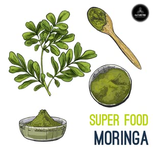Naturevibe Botanicals Moringa Powder close-up of texture