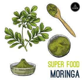 Naturevibe Botanicals Moringa Powder close-up of texture