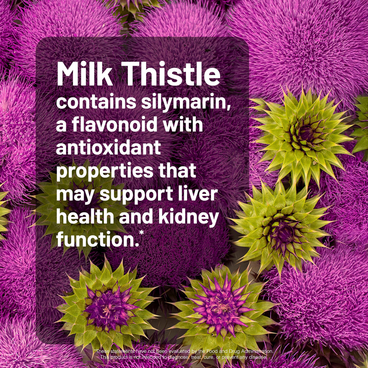 NatureWise Milk Thistle capsules showing the vegan label