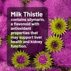 NatureWise Milk Thistle capsules showing the vegan label