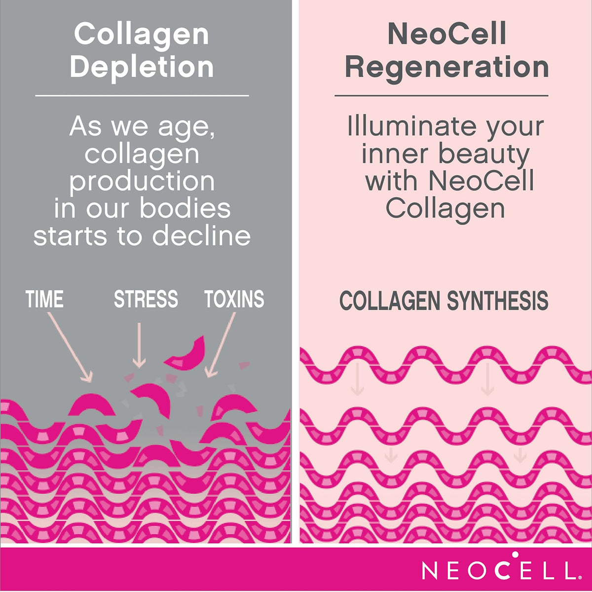 NeoCell Collagen Peptides Powder 431g side view showing nutritional information