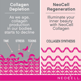 NeoCell Collagen Peptides Powder 431g side view showing nutritional information